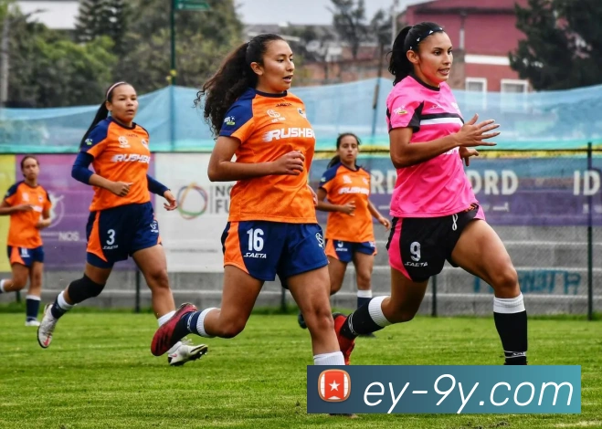 九游官网服务体系